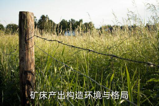 青海德爾尼銅業公司,青海紫金德爾尼銅礦