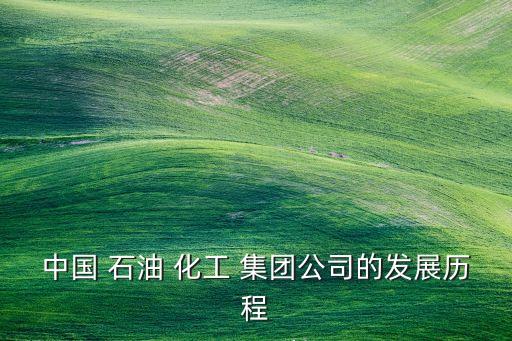 中國 石油 化工 集團公司的發展歷程