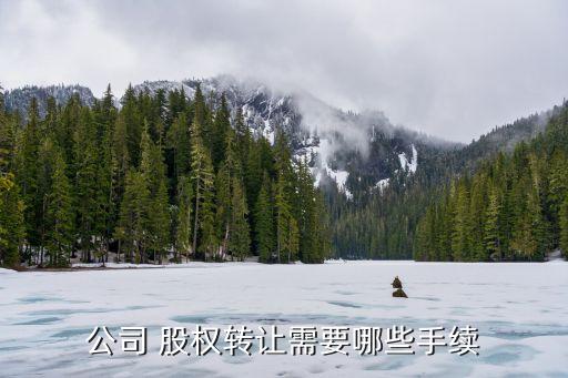 公司 股權轉讓需要哪些手續