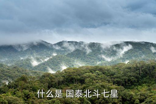 國泰金馬穩健歷史基金凈值
