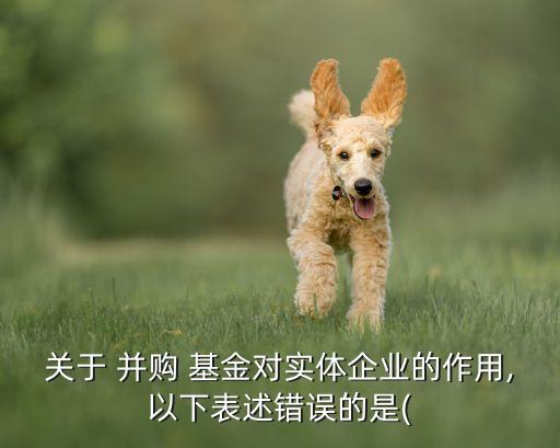關于 并購 基金對實體企業的作用,以下表述錯誤的是(