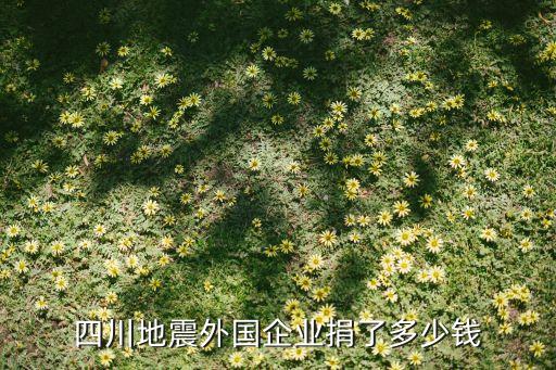 四川地震外國企業捐了多少錢