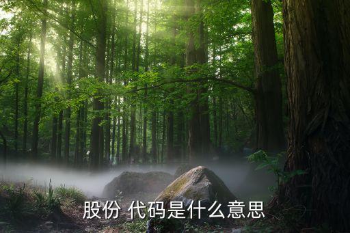 請教股票代碼的區分,科創板股票代碼怎么區分