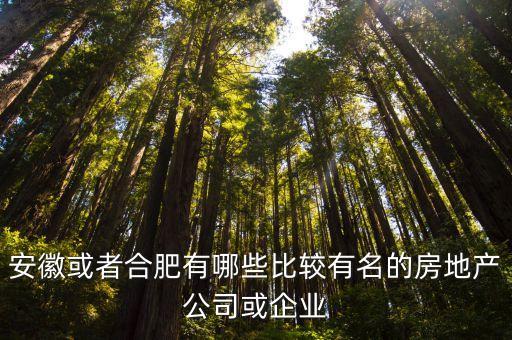 安徽或者合肥有哪些比較有名的房地產公司或企業