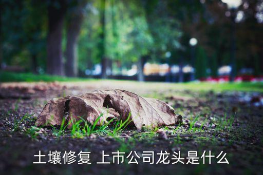 土壤修復 上市公司龍頭是什么