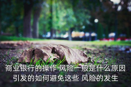 商業銀行的操作 風險一般是什么原因引發的如何避免這些 風險的發生