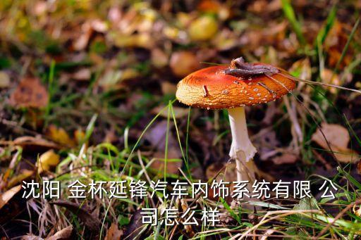 沈陽 金杯延鋒汽車內飾系統有限 公司怎么樣