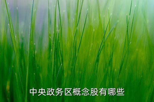 中央政務區概念股有哪些