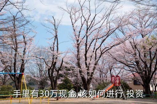手里有30萬現金,該如何進行 投資