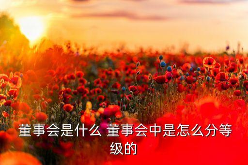 上市公司董事會開會規則,非上市公司有董事會嗎