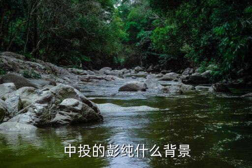 中投公司監事長,中投監事長什么級別