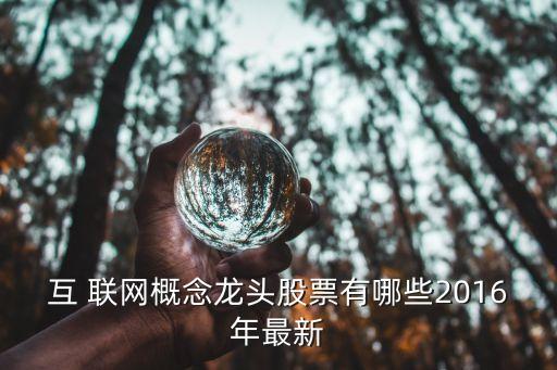 互 聯網概念龍頭股票有哪些2016年最新