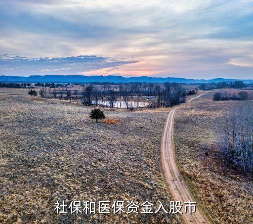 社保和醫保資金入股市