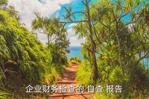 企業財務檢查的 自查 報告