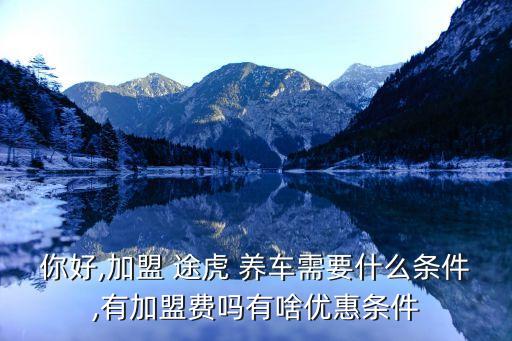 你好,加盟 途虎 養車需要什么條件,有加盟費嗎有啥優惠條件