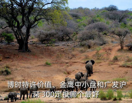  博時(shí)特許價(jià)值、金鷹中小盤(pán)和廣發(fā)滬深 300定投哪個(gè)最好