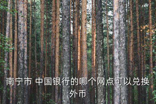 南寧市 中國銀行的哪個網點可以兌換外幣