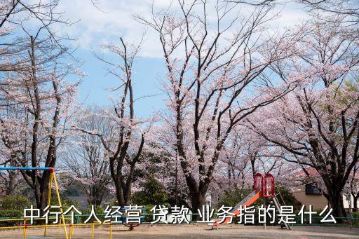 中行個人經營 貸款 業務指的是什么