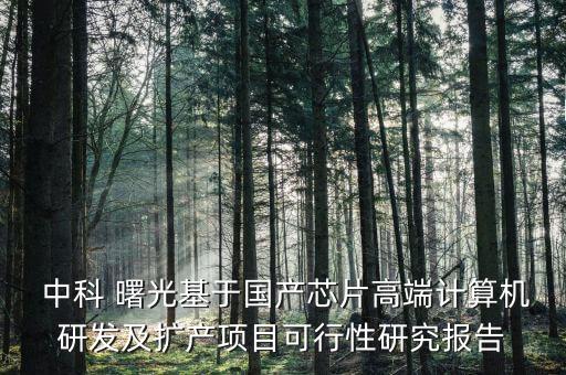  中科 曙光基于國產芯片高端計算機研發及擴產項目可行性研究報告