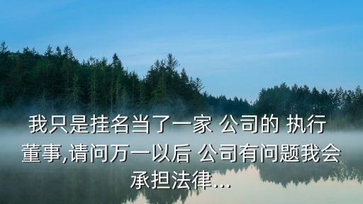公司執行董事委派,執行董事是任命還是委派