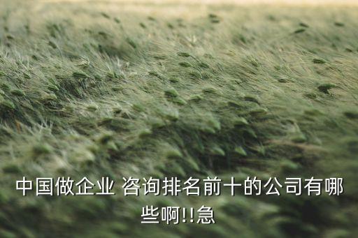 中國做企業 咨詢排名前十的公司有哪些啊!!急