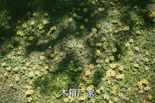 杭州南華木業包裝箱有限公司,臨沂南華木業有限公司