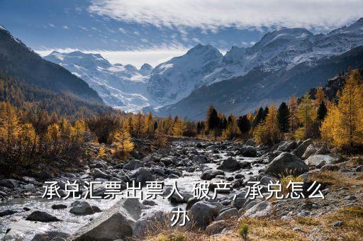 2015年超50萬的承兌銀行破產咋辦