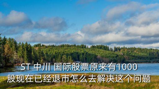 ST 中川 國際股票原來有1000股現在已經退市怎么去解決這個問題