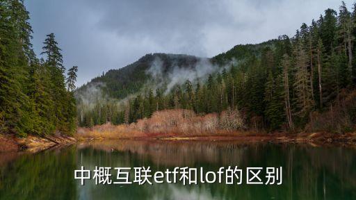 中概互聯etf和lof的區別