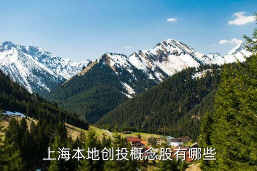 上海天機投資發展有限公司公開募集,上海華僑城投資發展有限公司