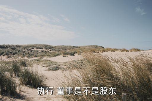  執行 董事是不是股東